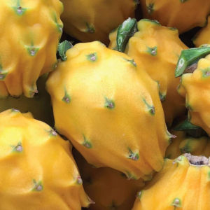 Pitahaya